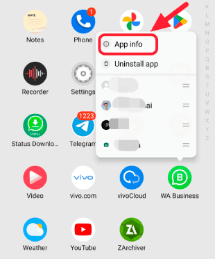 Go To WhatsApp App Info
